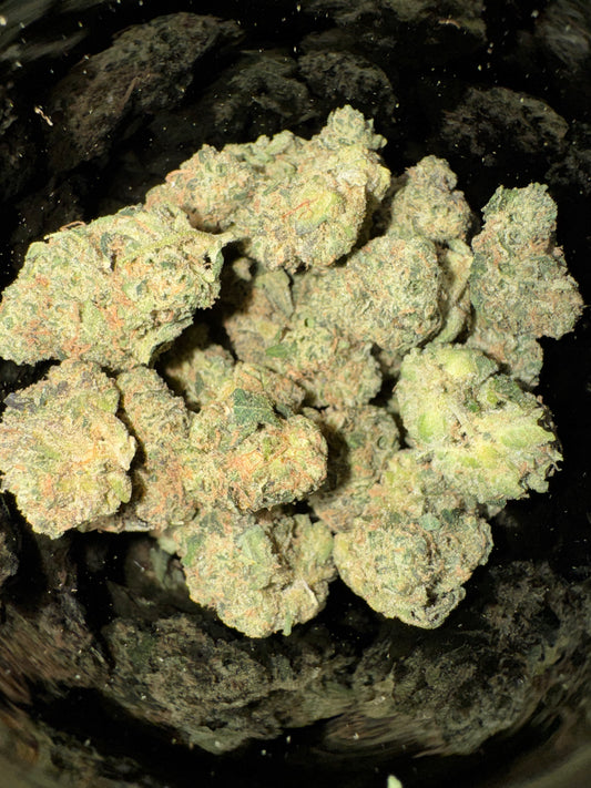 High THCA Hemp Flower - Black Maple