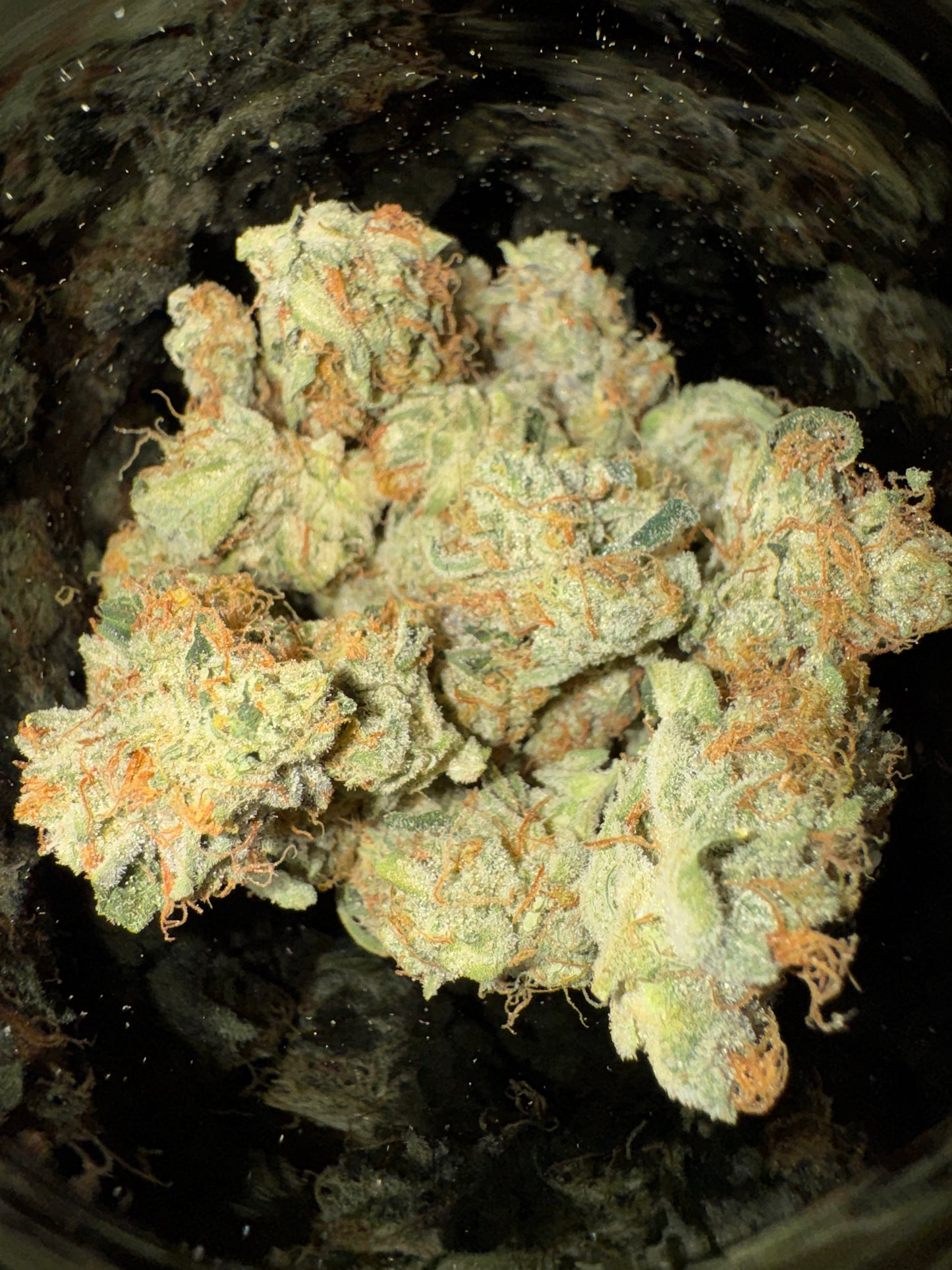 High THCA Hemp Flower - Louie #11