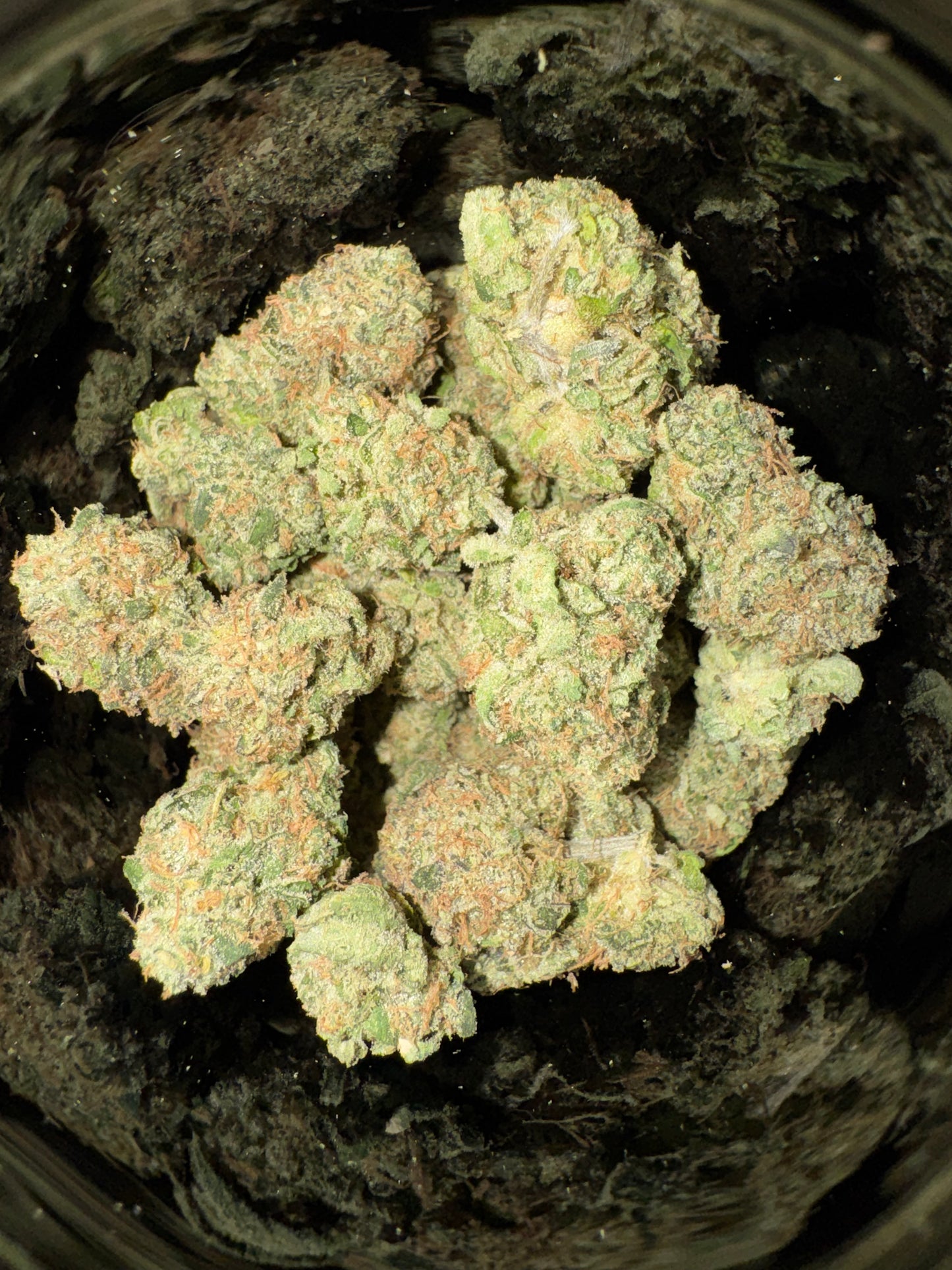 High THCA Hemp Flower - TMZ